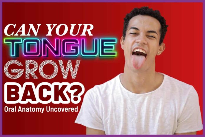 Can Your Tongue Grow Back