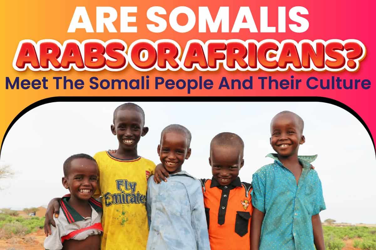 Are Somalis Arabs or Africans