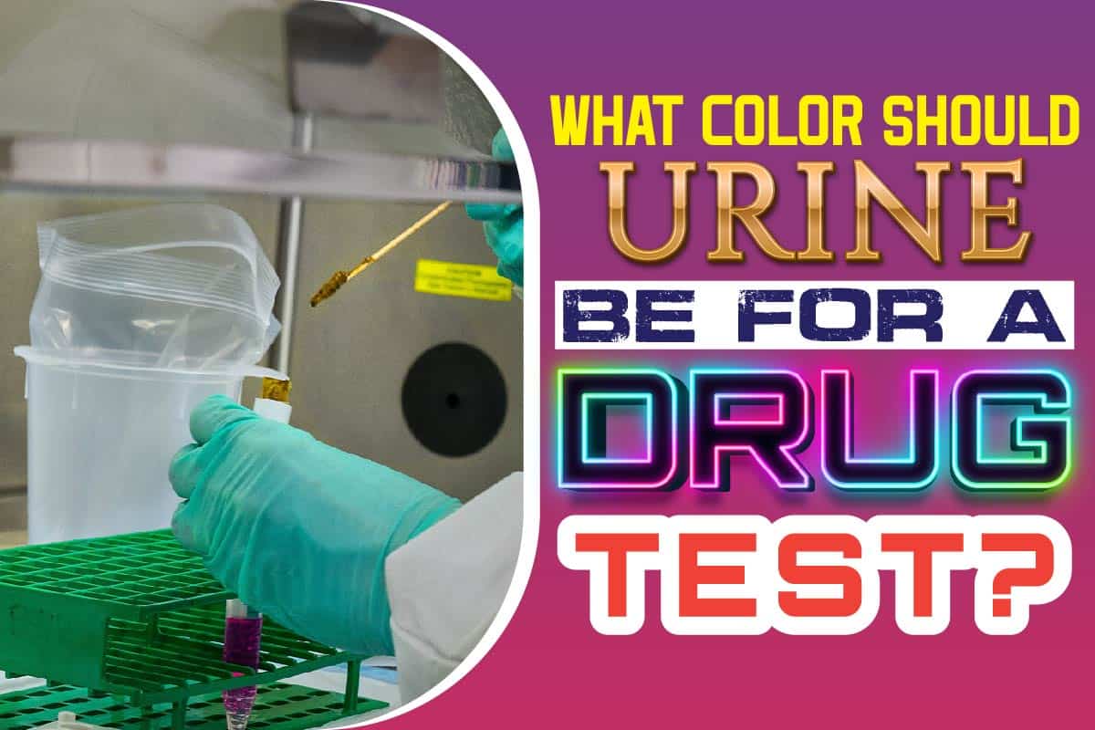 What Color should Urine be for a Drug Test