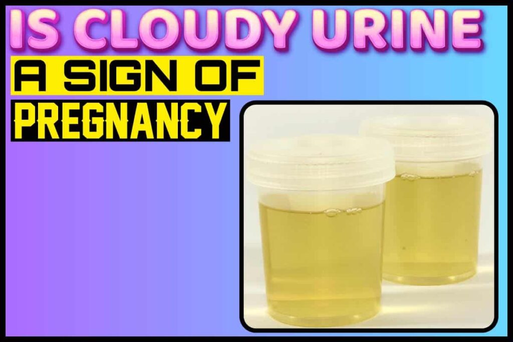 Is Cloudy Urine A Sign Of Pregnancy Causes Of Cloudy Urine To Watch Out For 