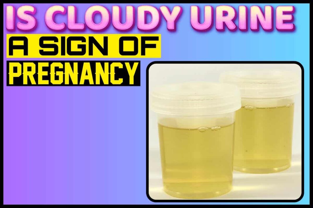 is-cloudy-urine-a-sign-of-pregnancy-causes-of-cloudy-urine-to-watch