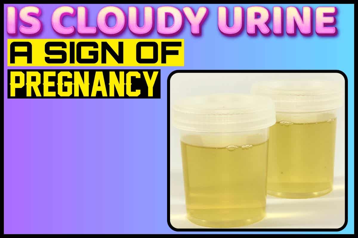 is cloudy urine a sign of pregnancy